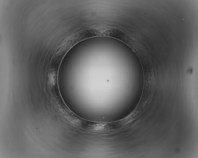 X0000112060090200908041225