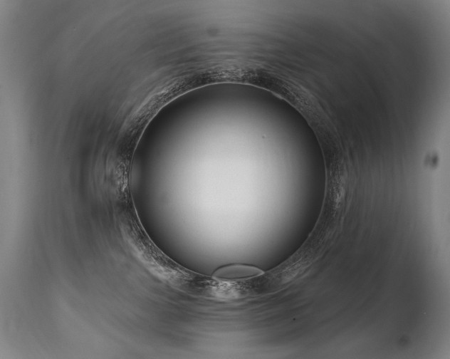 X0000112060091200908041225
