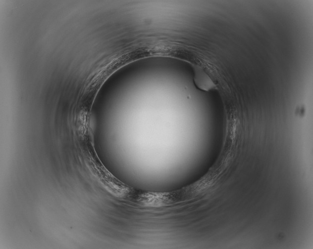 X0000112060093200908041225