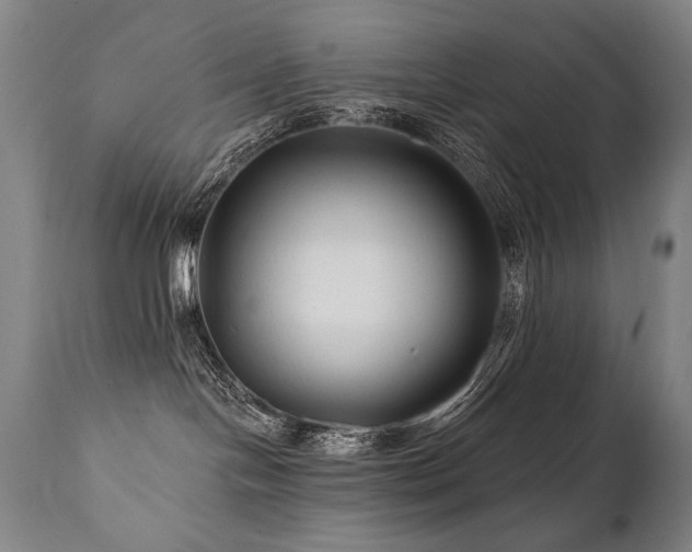 X0000112060094200908041225