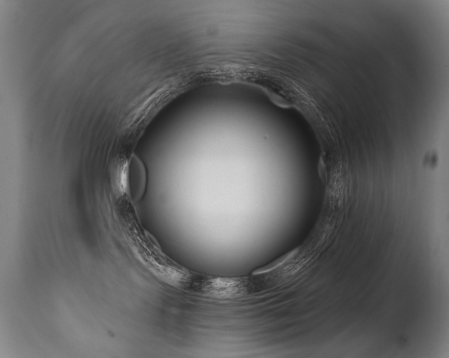 X0000112060095200908041225