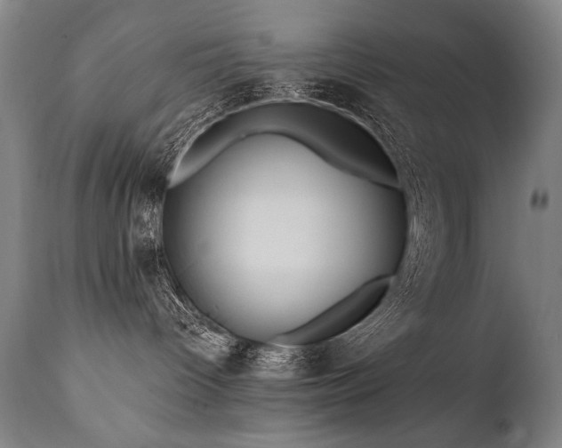 X0000112060096200908041225