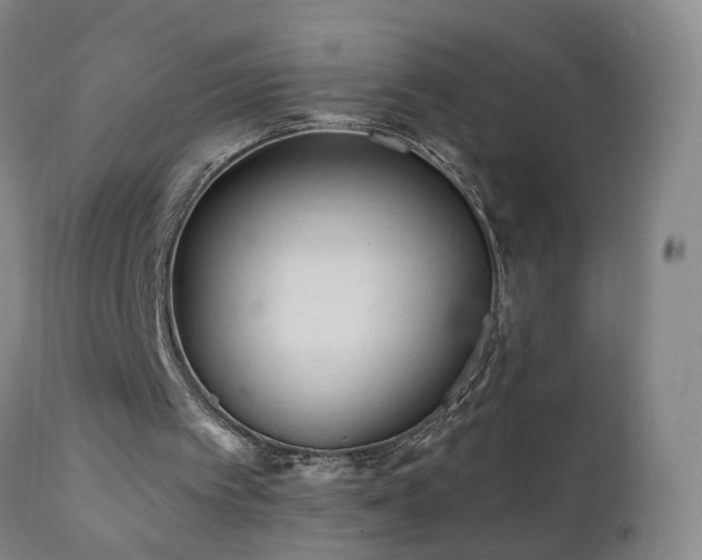 X0000112060097200908041224