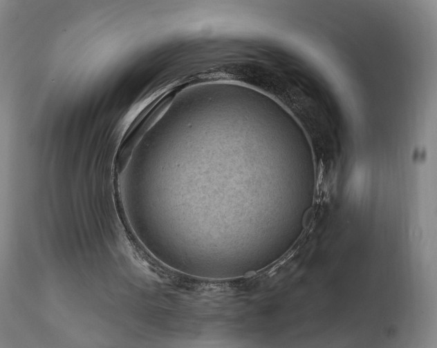 X0000112060099200908041224