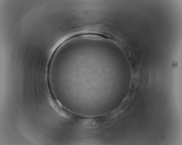 X0000112060100200908041224