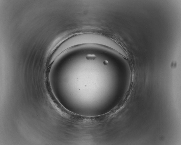 X0000112060101200908041224