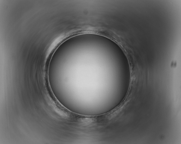 X0000112060102200908041224