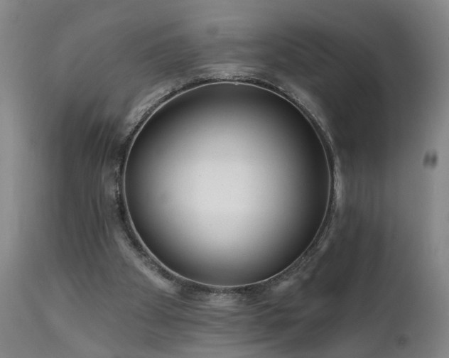 X0000112060105200908041224