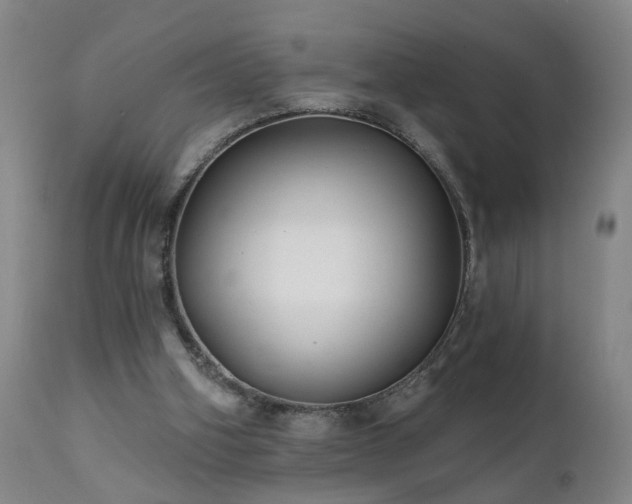 X0000112060106200908041224