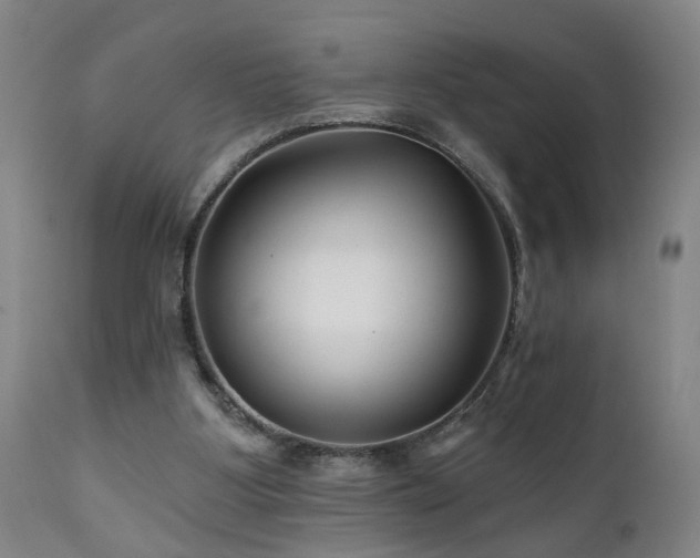 X0000112060107200908041224