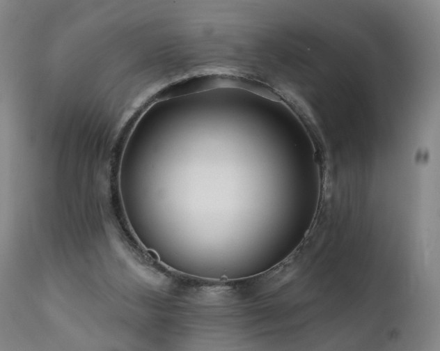 X0000112060108200908041224
