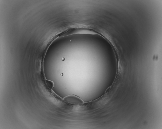 X0000112060109200908041224