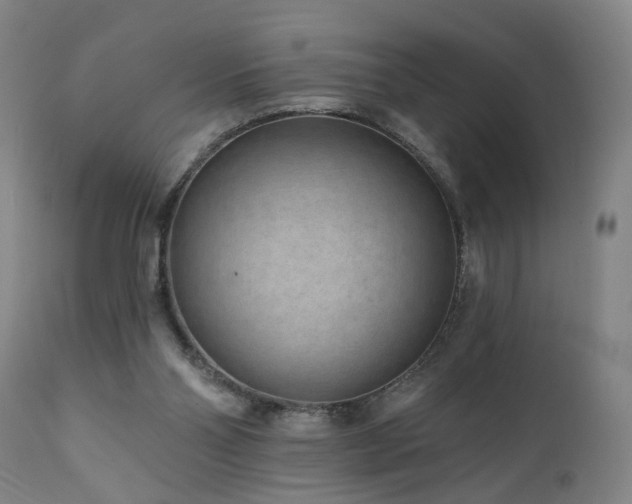 X0000112060110200908041224