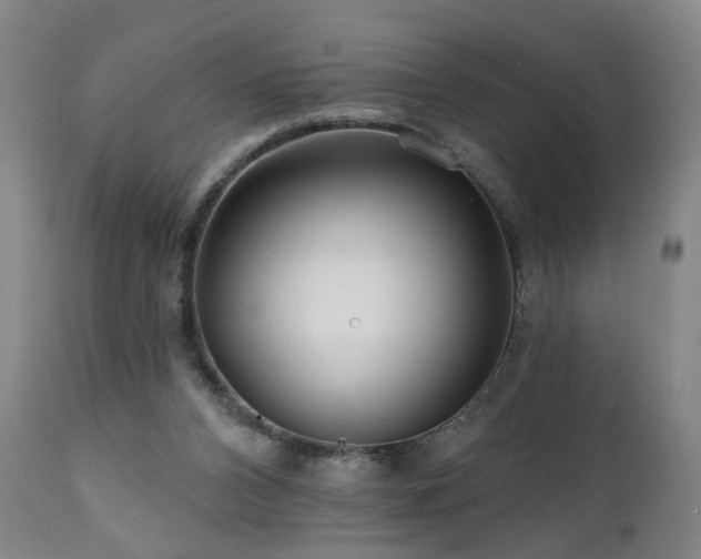 X0000112060112200908041224