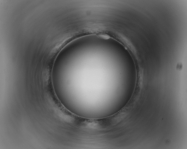 X0000112060113200908041224