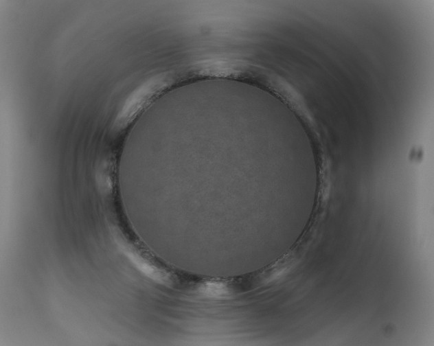 X0000112060114200908041224