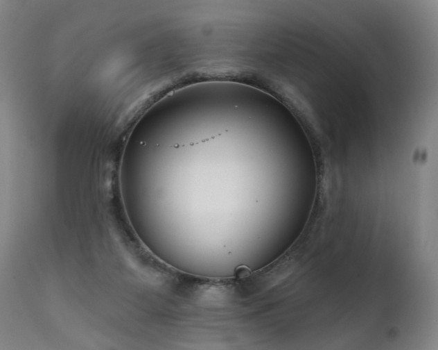X0000112060115200908041224