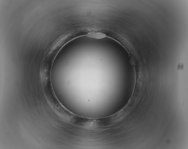 X0000112060116200908041224