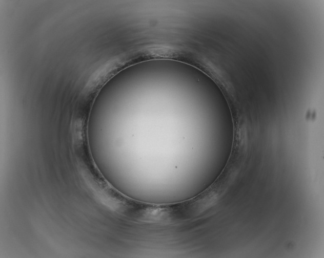 X0000112060117200908041224