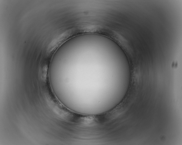 X0000112060118200908041224