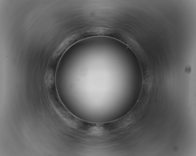 X0000112060119200908041224