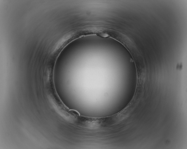 X0000112060120200908041224