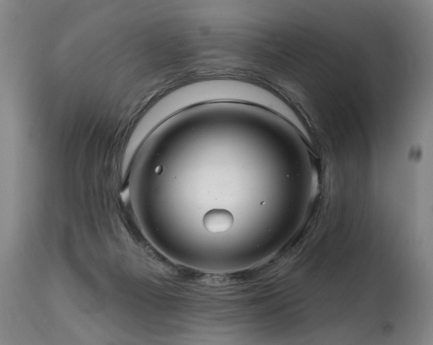 X0000112060121200908041224
