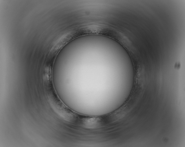 X0000112060122200908041224