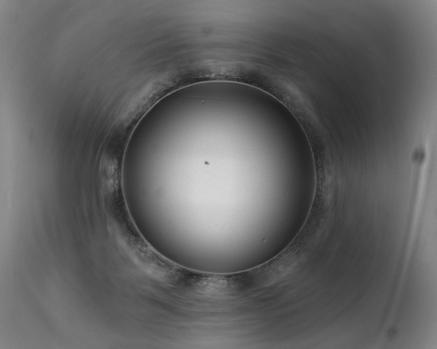 X0000112060123200908041224