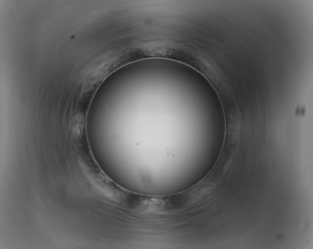 X0000112060125200908041224