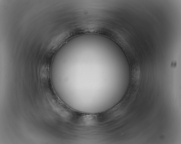 X0000112060126200908041224