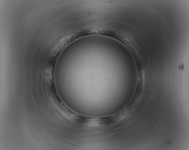 X0000112060127200908041224