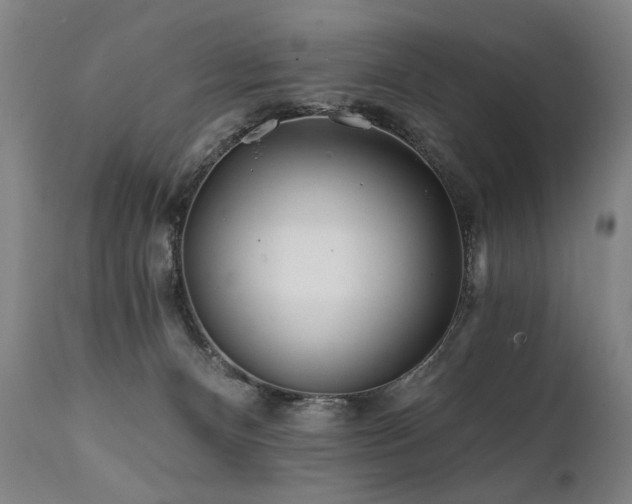 X0000112060128200908041224