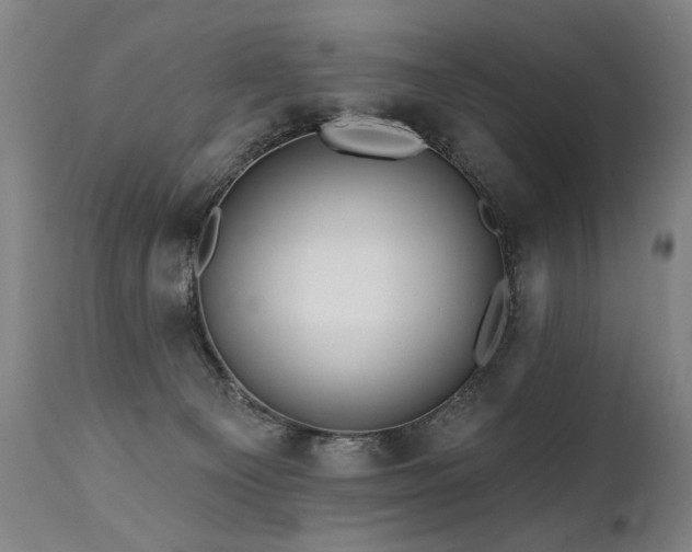X0000112060129200908041224