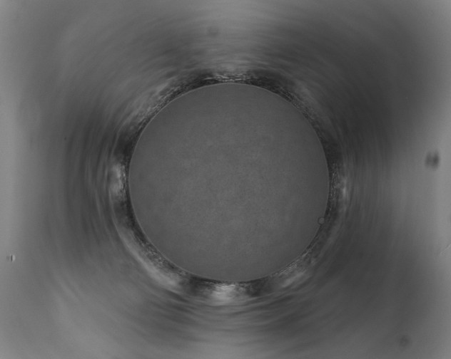 X0000112060130200908041224