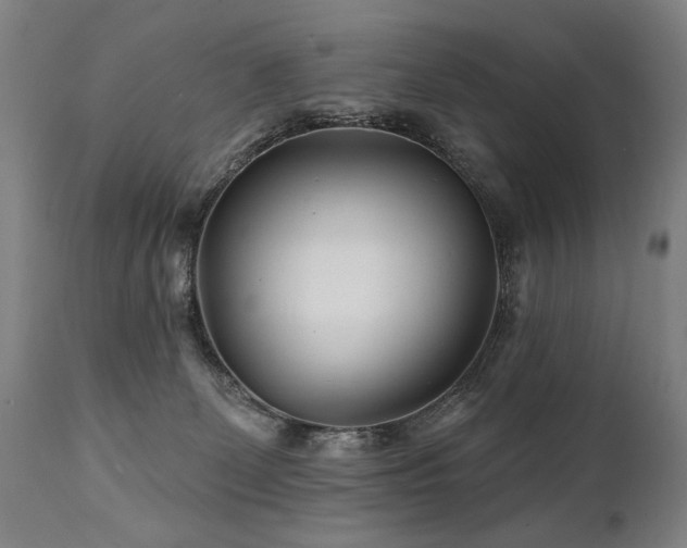 X0000112060131200908041224