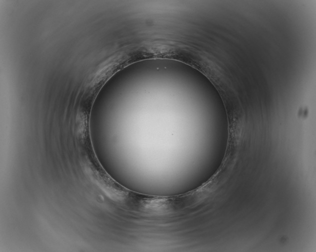 X0000112060132200908041224