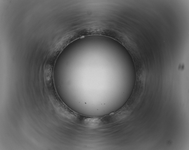 X0000112060133200908041224