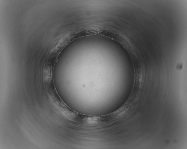X0000112060134200908041224