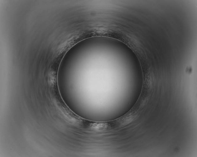X0000112060135200908041224