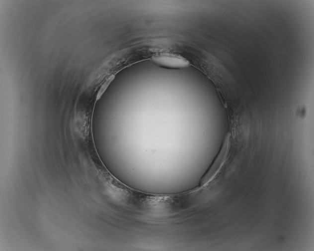 X0000112060136200908041224