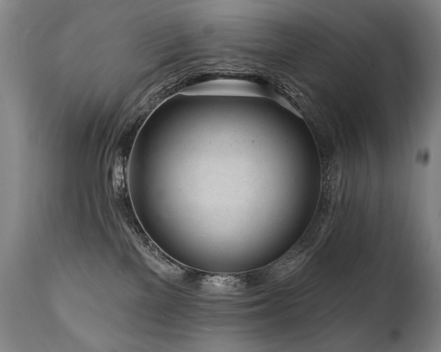 X0000112060137200908041224