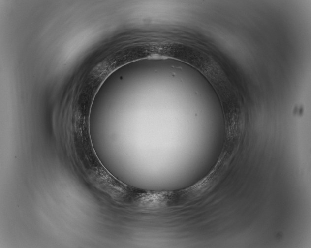 X0000112060140200908041223