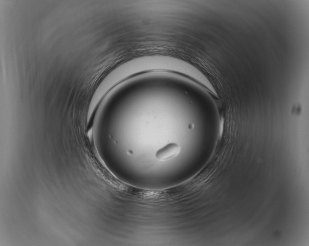 X0000112060141200908041223