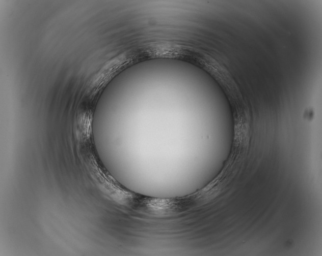 X0000112060142200908041223