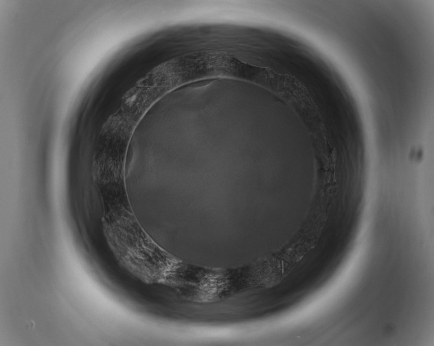 X0000112060143200908041223