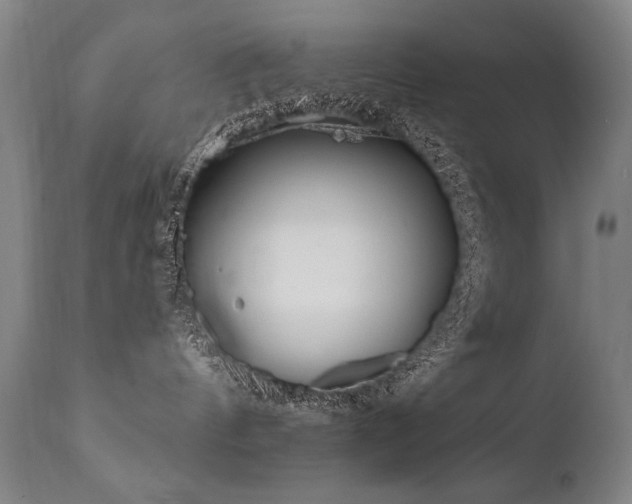 X0000112060144200908041223
