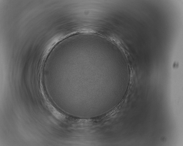 X0000112060145200908041223