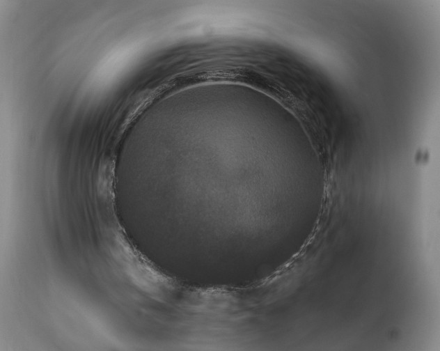 X0000112060146200908041223