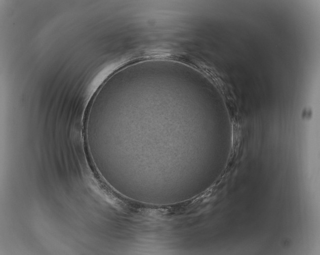 X0000112060147200908041223